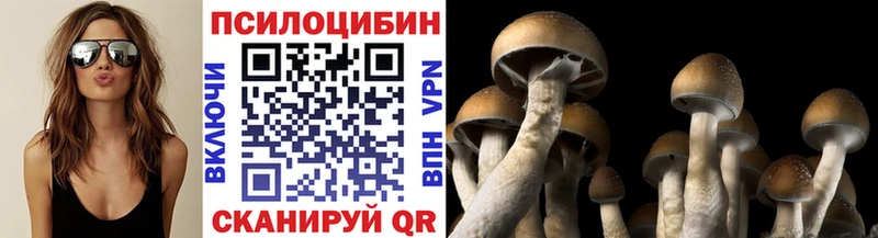 как найти наркотики Фрязино Галлюциногенные грибы Psilocybe