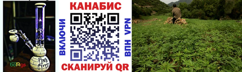 это Telegram  Фрязино  Шишки марихуана White Widow 